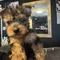 Thumbnail 13