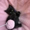 Thumbnail 14