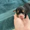 Thumbnail 17