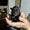Thumbnail 13