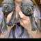 Thumbnail 12