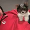 Thumbnail 15