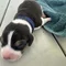 Thumbnail 21