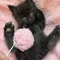 Thumbnail 15