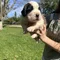 Thumbnail 11