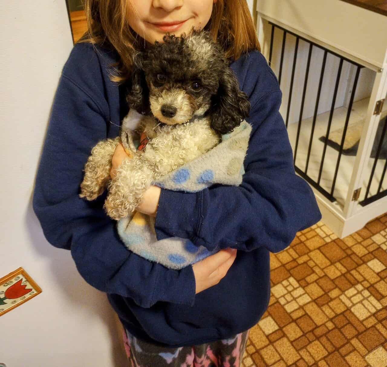 Adorable Bonded Pair image 5