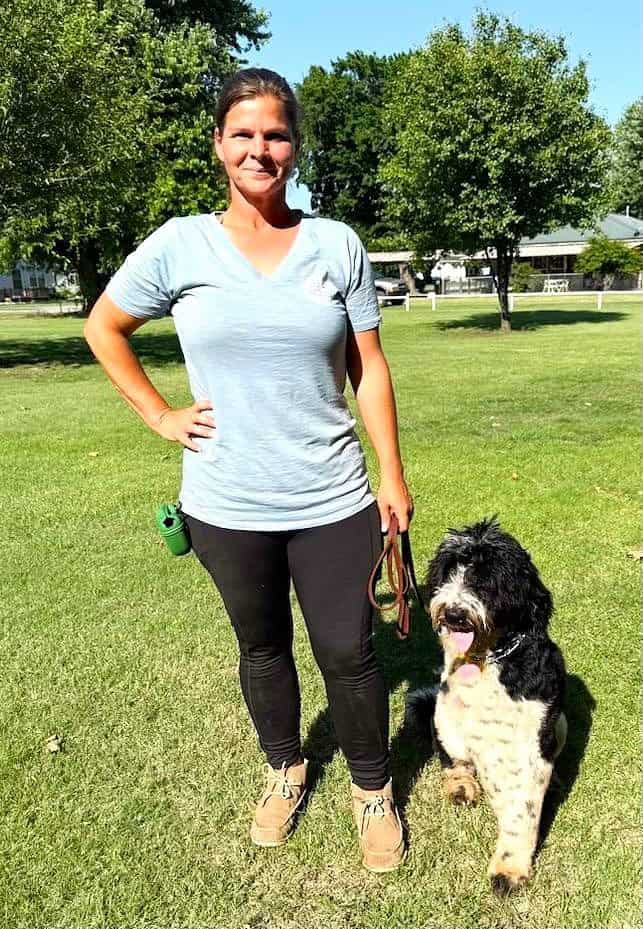 Board and Obedience Train image 2