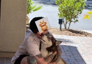 **Rehoming 3-Year-Old Healthy, Active Husky