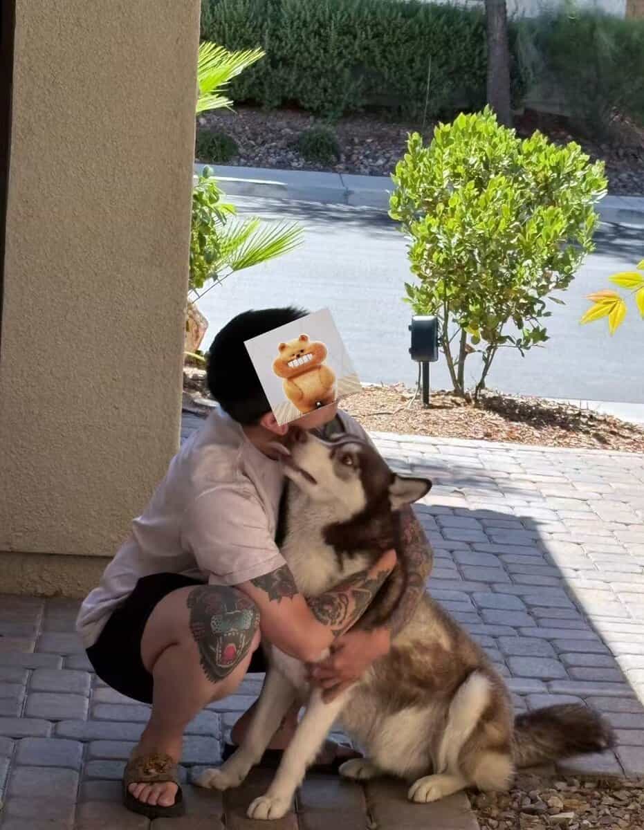 **Rehoming 3-Year-Old Healthy, Active Husky image 1