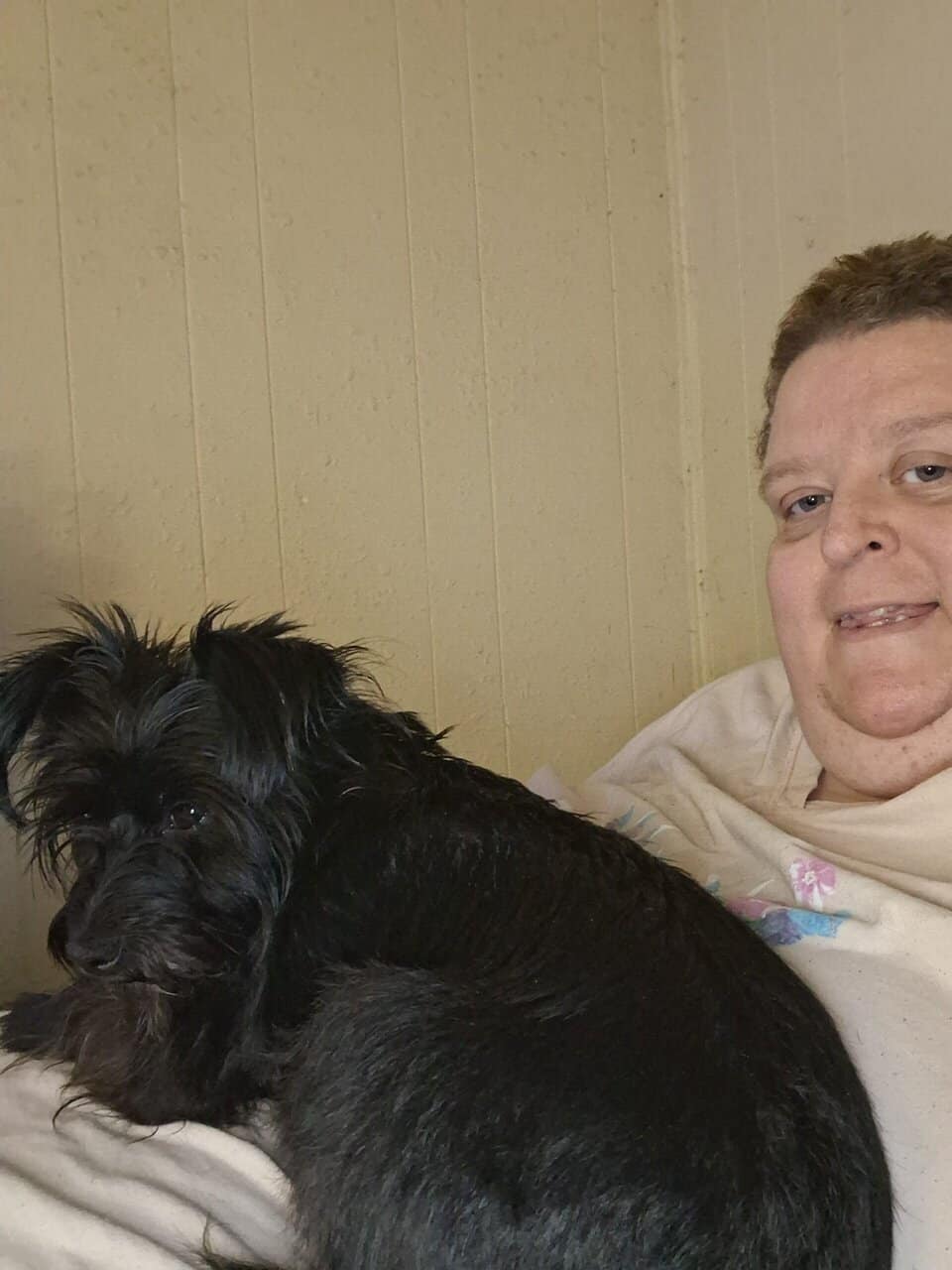 Sweet small female dog free to good home image 1