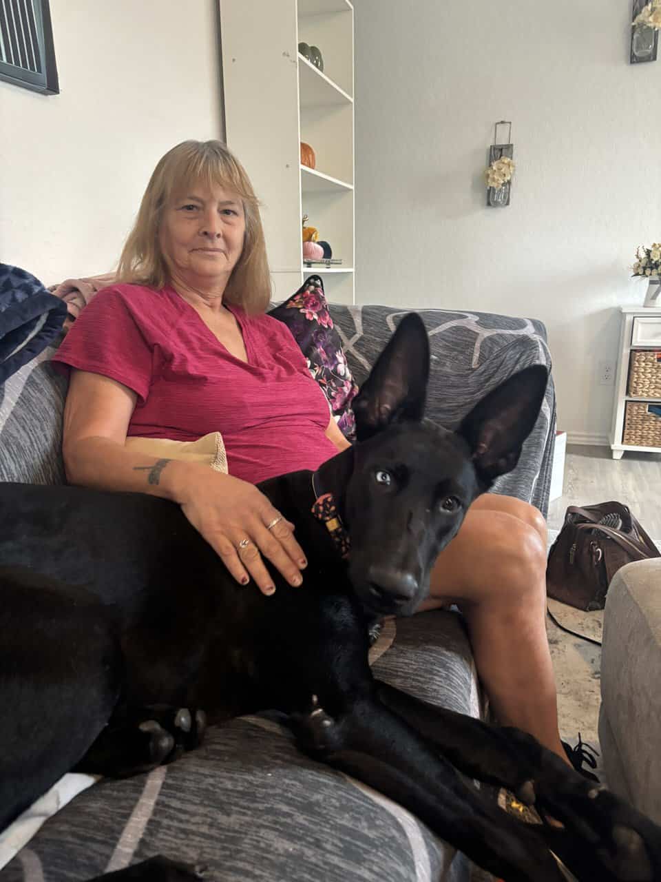 6 month old Puppy image 3