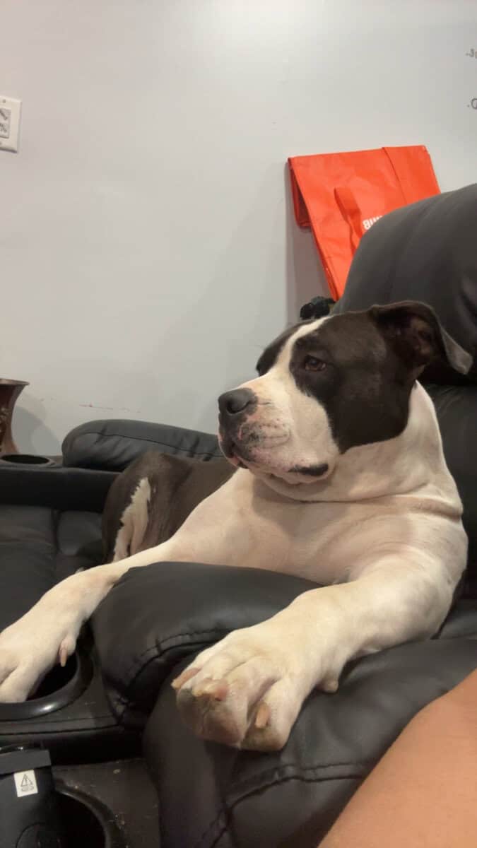 Rehoming my homey! image 2