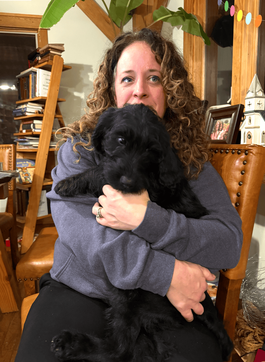 ONE LEFT: Adorable Goldendoodle/Labbe puppies image 2