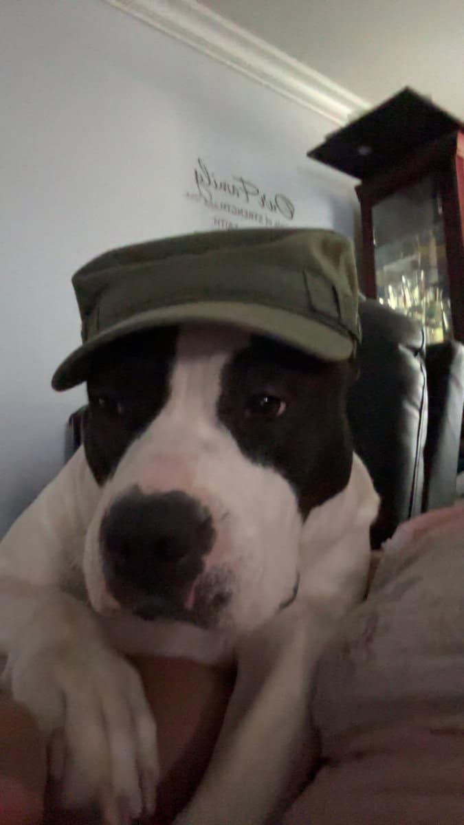 Rehoming my homey! image 1