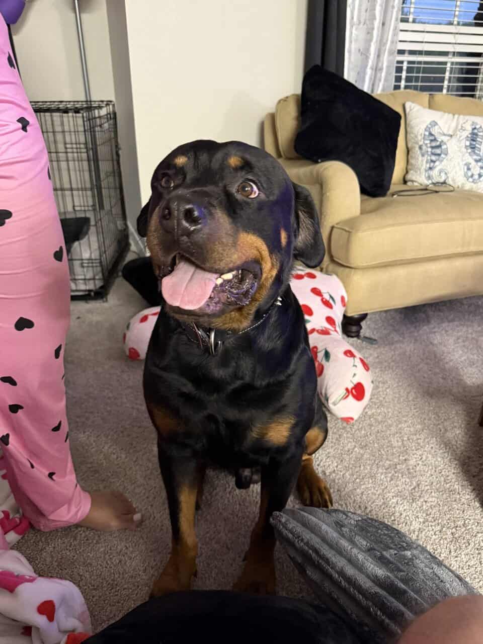 Tyson image 1