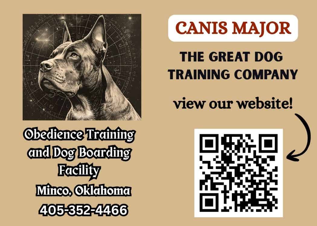 Board and Obedience Train image 4