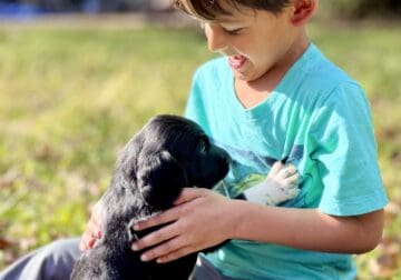 Adorable Goldendoodle/Labbe puppies