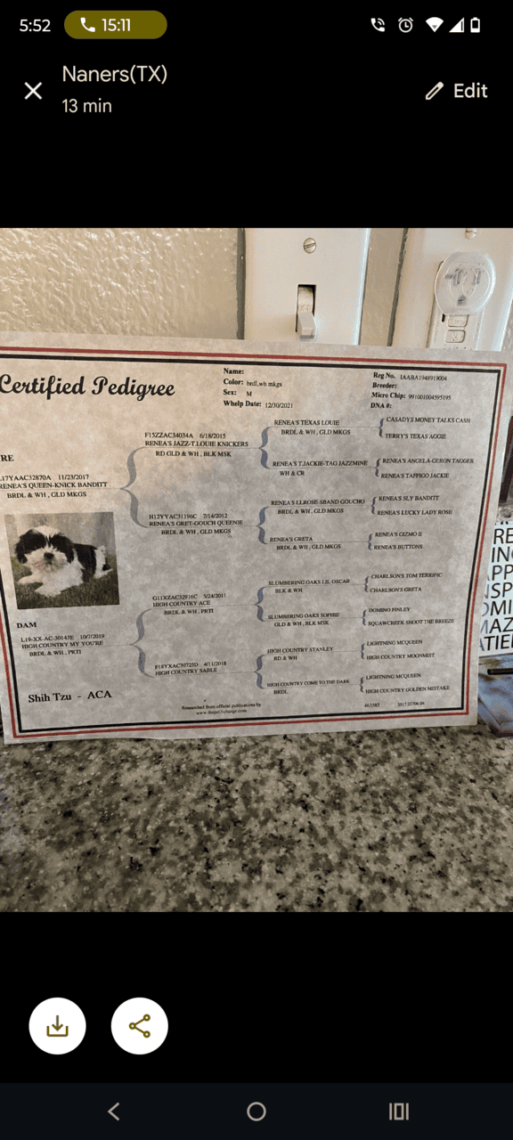 A Loving Dog , Needs A loving Home. image 4
