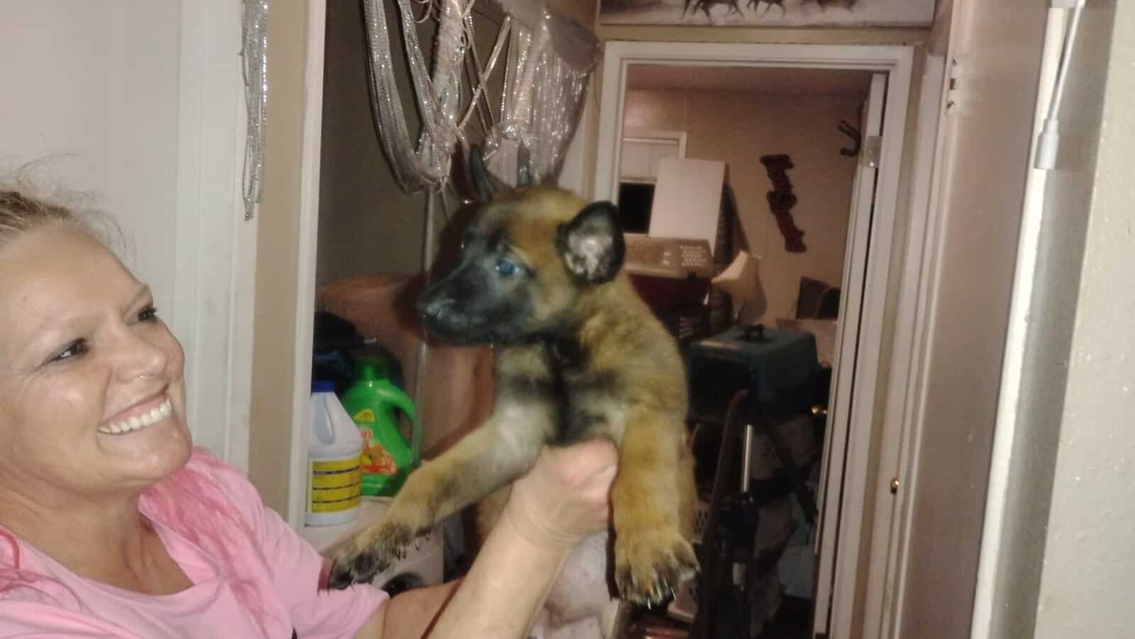 belgium pups image 4
