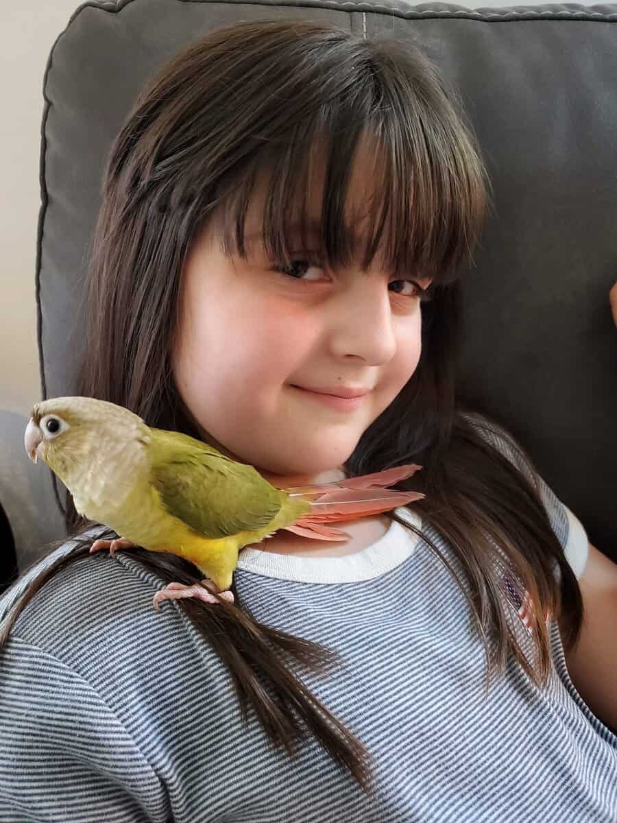 Pineapple conure heart on her chest image 1