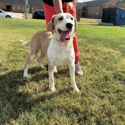 Looking for a home