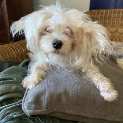 Need to Rehome