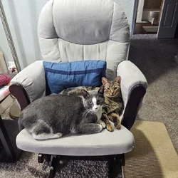 Birdie & Gerjin