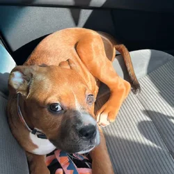 Looking for my forever home
