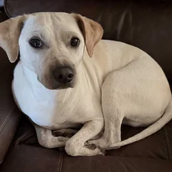 Need to rehome