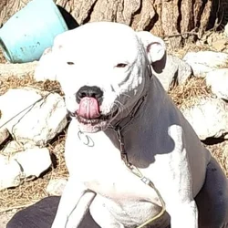 Please help me find a family