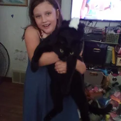 Cat the orlando