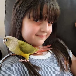 Pineapple conure heart on her chest