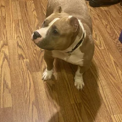 Looking for a new home (mom&son)