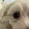 Thumbnail 18