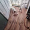 Thumbnail 15