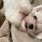 Thumbnail 21