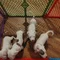 Thumbnail 13