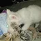 Thumbnail 21