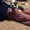 Thumbnail 22