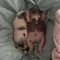 Thumbnail 15