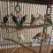 Thumbnail 13