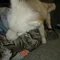 Thumbnail 22