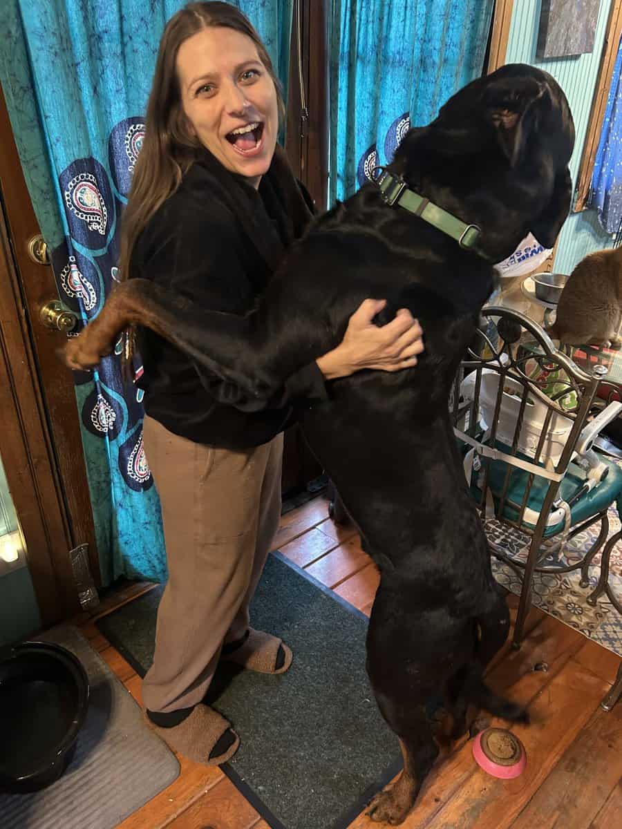 Rottweiler Puppies- AKC Champion bloodlines image 6
