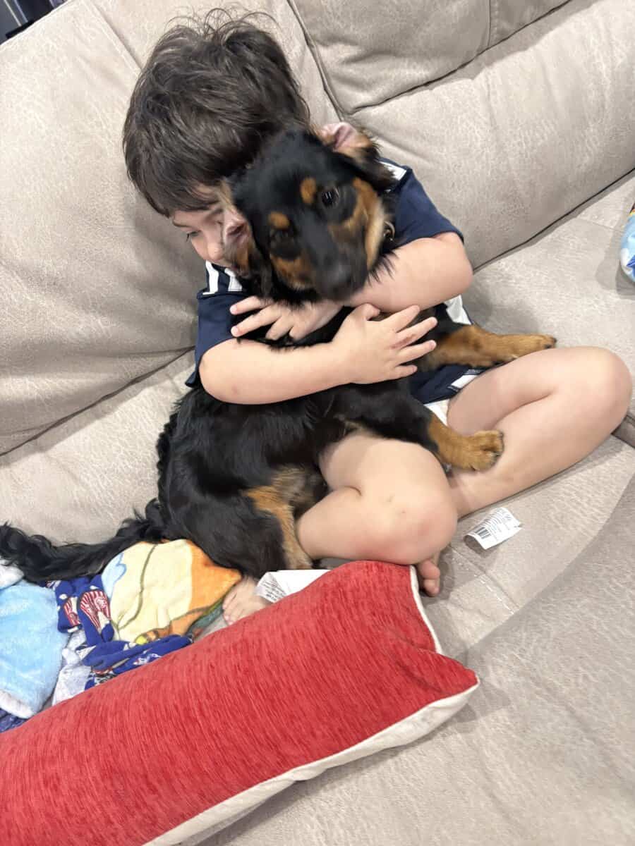 6mo pup for sale - Pepe image 8