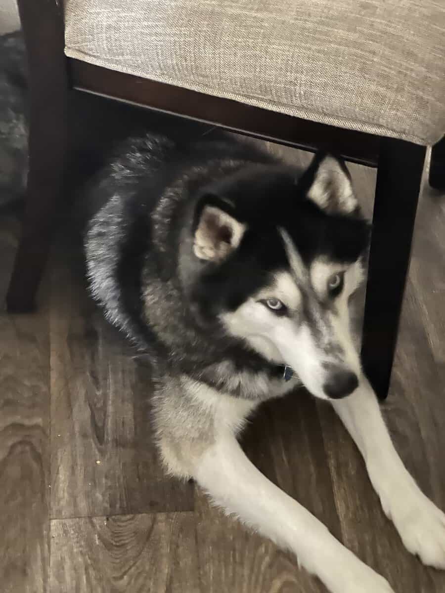 Shadow image 1