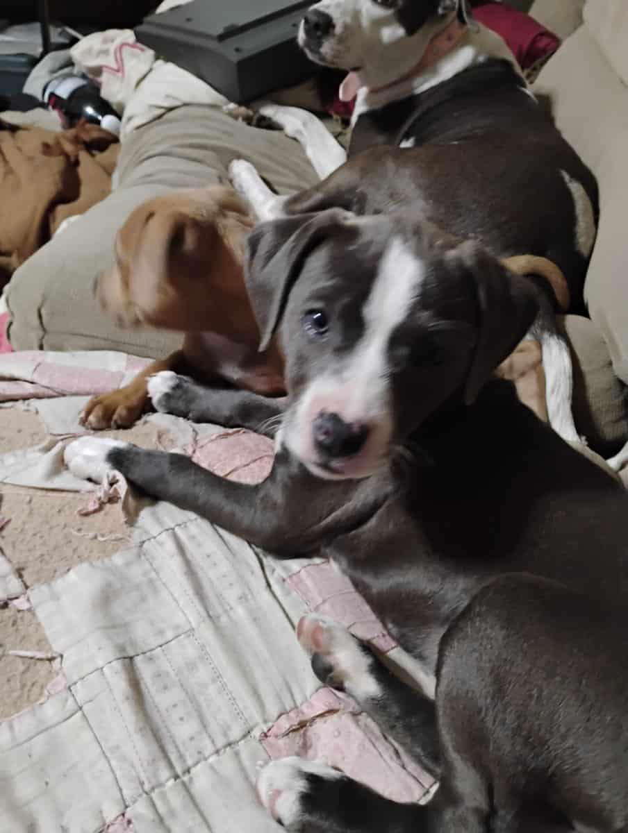My baby's baby's. image 1