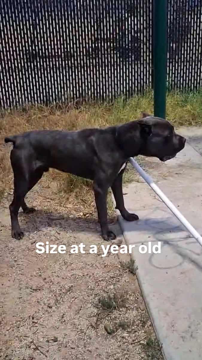 3 boys 3 girls image 5