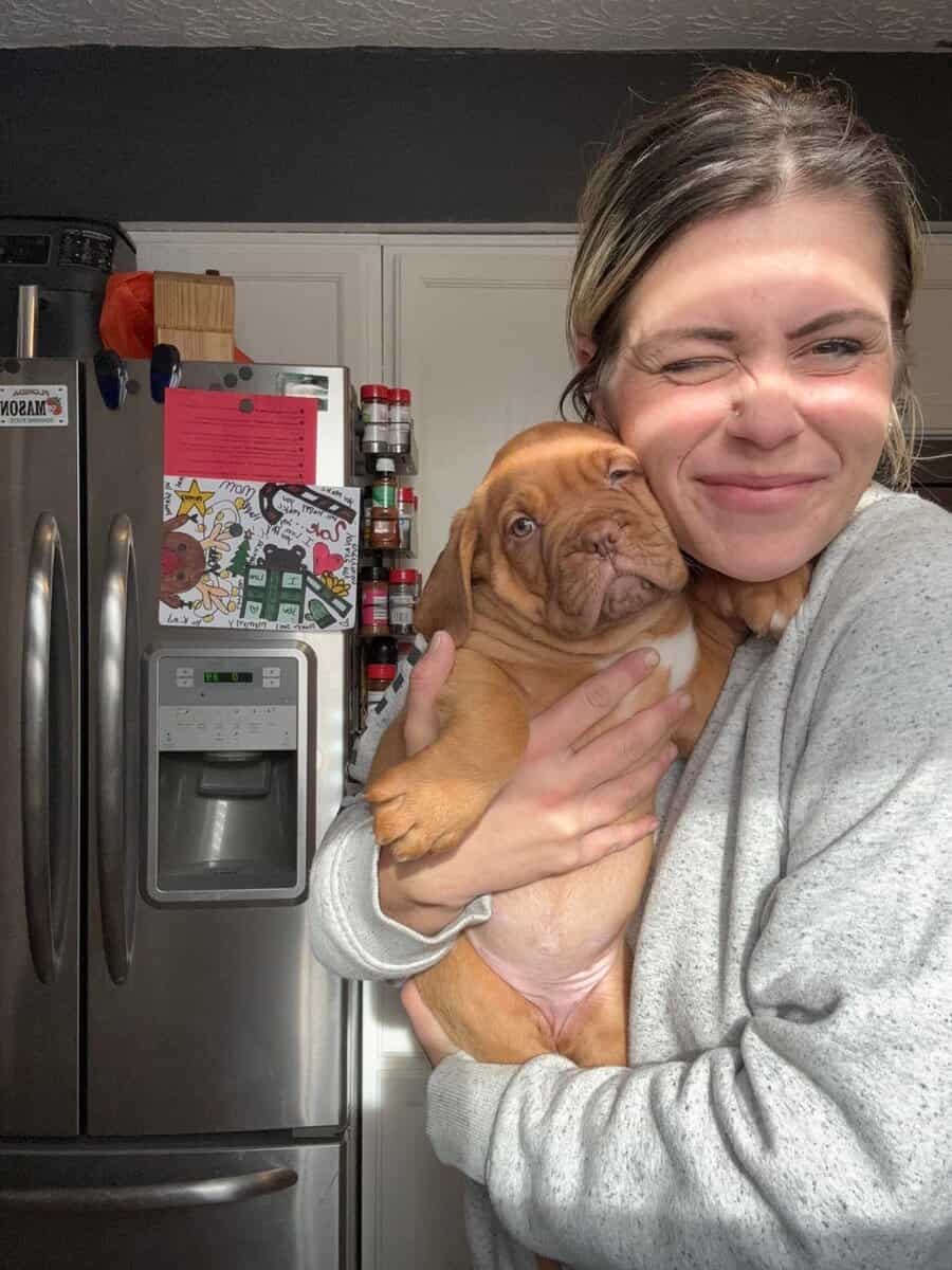 Champ BL/ 8 week old Dogue De Bordeaux pups image 21