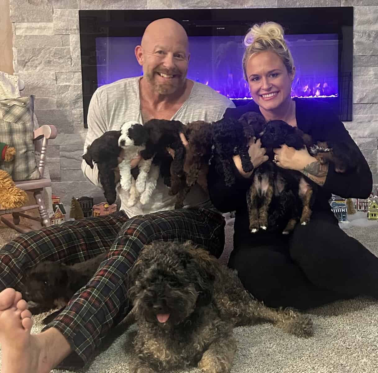 Tiny Doodle Puppies for Christmas in Iowa image 18