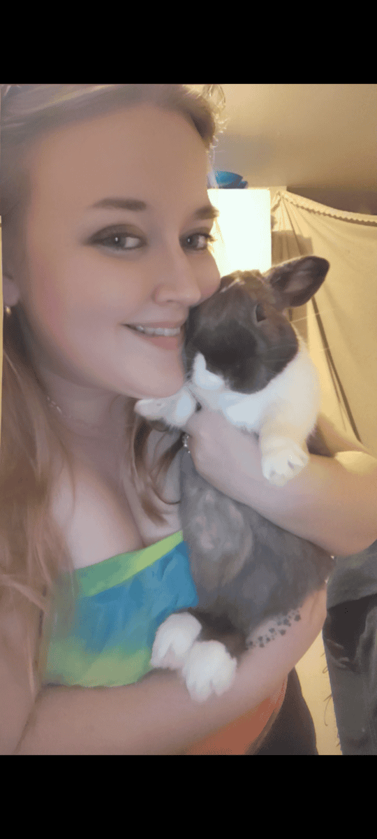 Dutch rabbit rehoming image 2